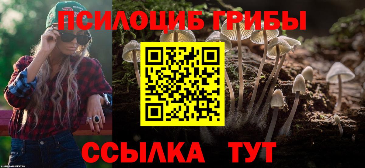 Псилоцибиновые грибы Magic Shrooms  Галлюциногенные грибы Psilocybine cubensis  Иркутск  Вход с VPN 